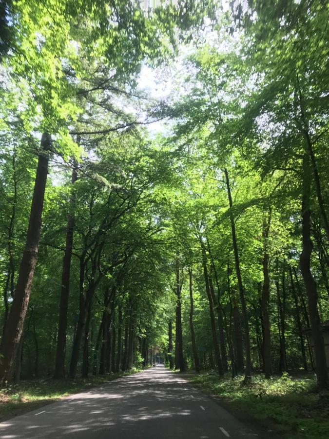 Uniek Chalet Op De Veluwe, In Bosrijke Omgeving. Putten Bagian luar foto
